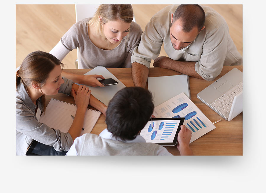Language Consulting