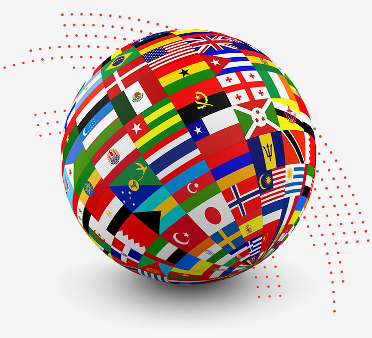 Translation services for the public sector