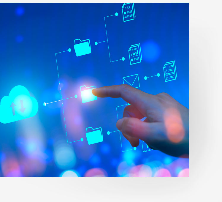 Terminology management