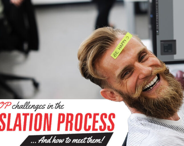 Translation process MondragonLingua